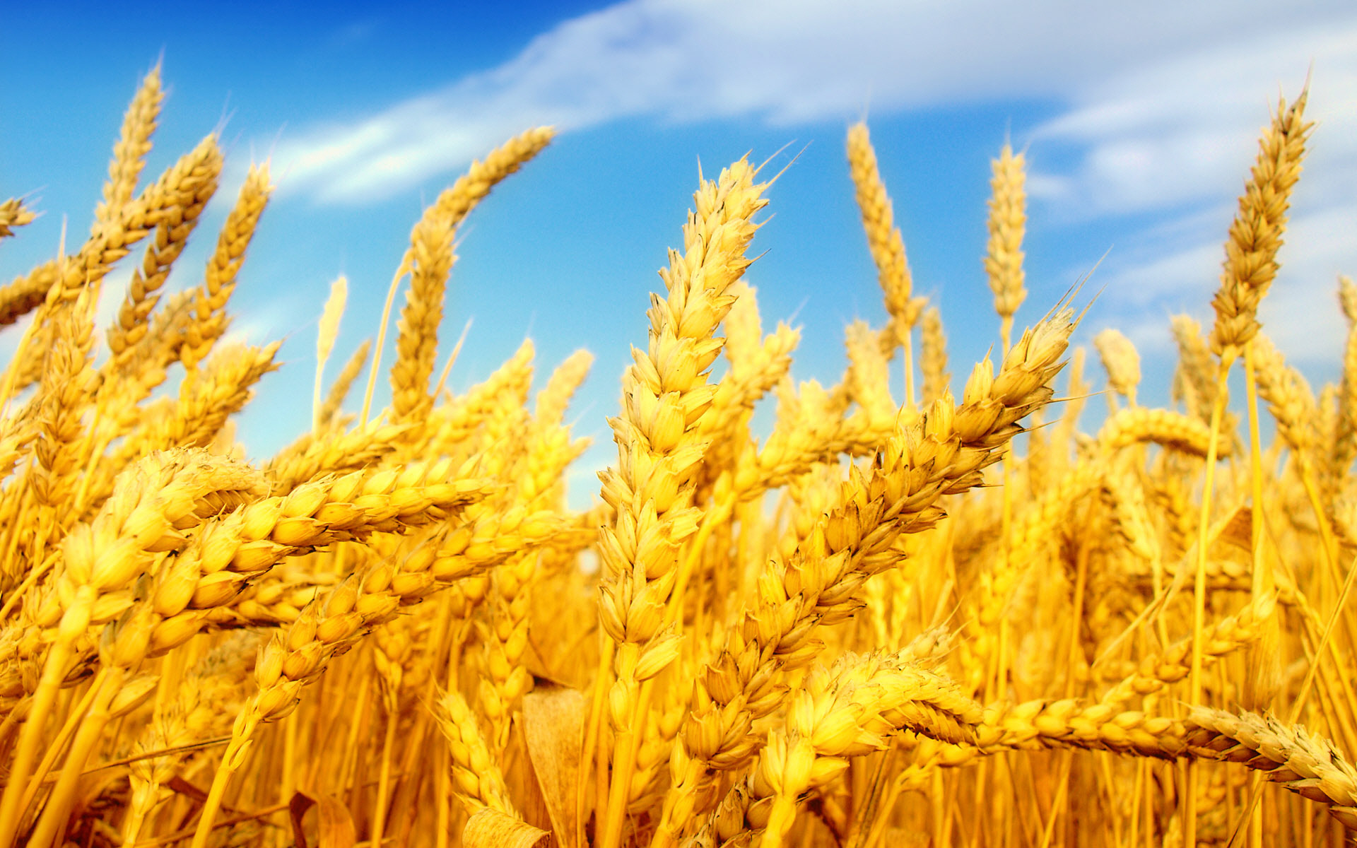 از نیاز صنعت برق به سرمایه گذاری 25 میلیارد دلاری تا لزوم توسعه انرژی های تجدید پذیر در کشور
