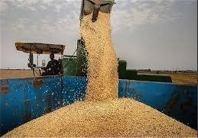 شماره ۳۰۵۶۰ مورخ ۹۱/۶/۶ (قانون حداکثر استفاده از توان تولیدی